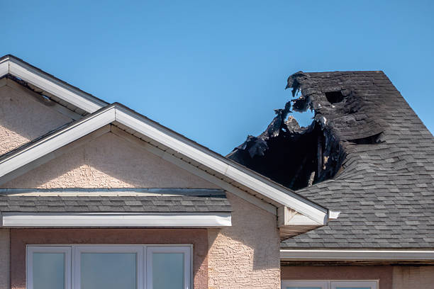 Top rated local Odor Removal specialists in Palmyra, WI